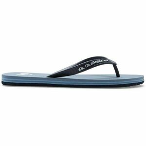 Quiksilver MOLOKAI CORE Șlapi pentru bărbați, albastru deschis, mărime 41 imagine