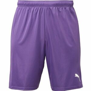 Puma TEAMGOAL SHORTS Șort fotbal bărbați, mov, mărime imagine