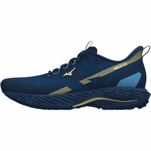 Mizuno WAVE RIDER TT 2 Încălțăminte de alergare bărbați, albastru, mărime 46.5 imagine
