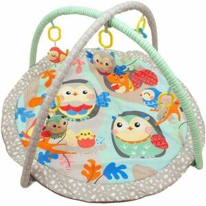 BABY MIX BUFNIȚE Saltea de joacă cu arcadă, mix, mărime imagine