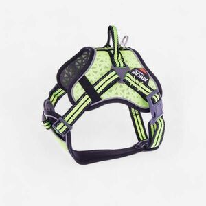 Ham multisport Câine ARKA Galben imagine