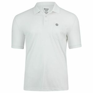 Polo imagine