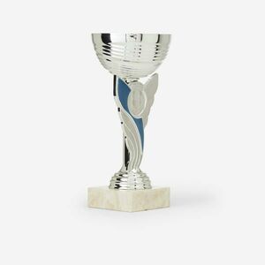 Cupă c130 Argintiu/ Albastru 19 cm imagine