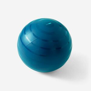 Minge Fitness SWISS Gym ball Mărimea 1 / M (55 cm) Albastru imagine
