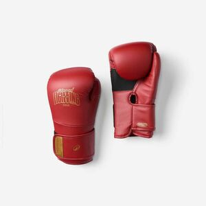Mănuși de box de antrenament cu spumă ergonomică, Roșu imagine