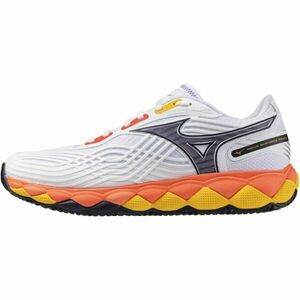 Mizuno WAVE ENFORCE TOUR 2 CC Încălțăminte tenis bărbați, alb, mărime 44.5 imagine
