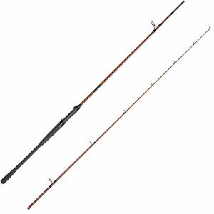 Lanseta Delphin Exploza Hard, 2.40m, 65g, 2 tronsoane imagine
