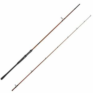 Lanseta Delphin Exploza Hard, 2.70m, 70g, 2 tronsoane imagine