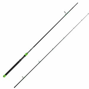 Lanseta Delphin GreenCode Hard, 2.4m, 50g, 2 tronsoane imagine