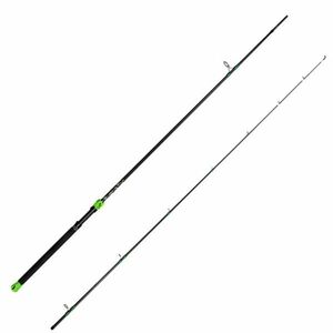 Lanseta Delphin GreenCode Hard, 2.70m, 60g, 2 tronsoane imagine
