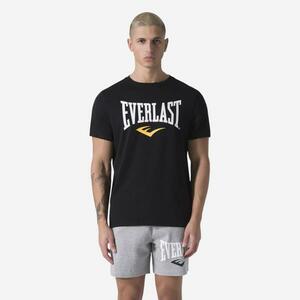 Tricou Box Everlast Gri Bărbați imagine