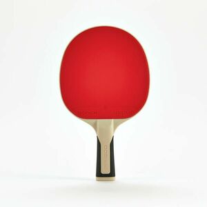 Paletă rezistentă tenis de masă PPR 500 imagine
