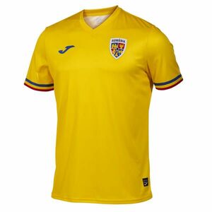 Tricou Oficial Suporter Fotbal Galben Adulți imagine
