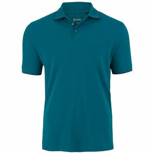 Polo imagine