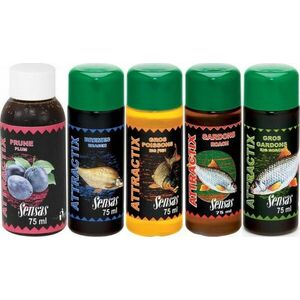 Atractant Atractix Carp 75ml imagine