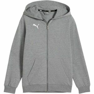 Puma TEAMGOAL CASUALS HOODED JACKET Hanorac băieți, gri, mărime imagine