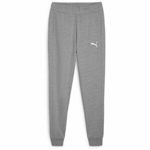 Puma TEAMGOAL 23 CASUALS PANTS Pantaloni antrenament bărbați, gri, mărime imagine