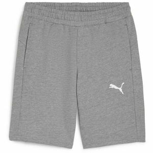 Puma TEAMGOAL CASUALS SHORTS Pantaloni scurți bărbați, gri, mărime imagine