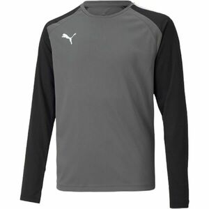 Puma TEAMGLORY JERSEY Tricou fotbal bărbați, gri, mărime imagine