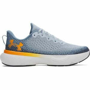 Under Armour INFINITE Încălțăminte de alergare bărbați, gri, mărime 45.5 imagine
