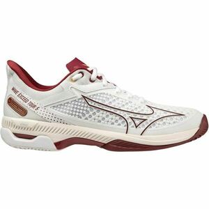 Mizuno WAVE EXCEED TOUR 5 CC W Încălțăminte de tenis femei, alb, mărime 40 imagine