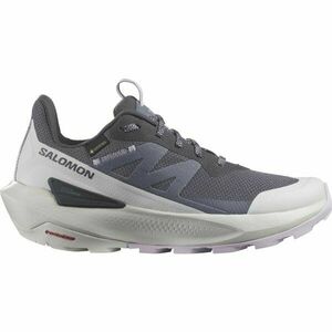Salomon ELIXIR ACTIV GTX Încălțăminte turism femei, gri închis, mărime 39 1/3 imagine