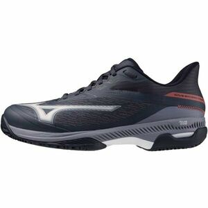 Mizuno WAVE EXCEED LIGHT 2 CC Încălțăminte de tenis bărbați, negru, mărime 42.5 imagine