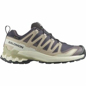 Salomon XA PRO 3D V9 GTX W Pantofi de alergare pentru femei, bej, mărime 39 1/3 imagine