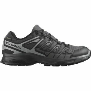 Salomon EXTEGRA GTX Încălțăminte de turism bărbați, gri închis, mărime 46 imagine