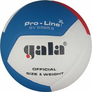 GALA BV 5595 S PRO LINE 12 Minge de volei, alb, mărime imagine