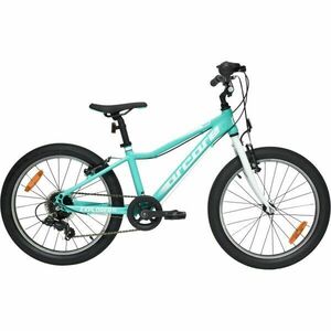 Arcore EXPLORER 20 Bicicletă copii 20", turcoaz, mărime imagine