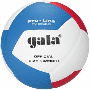 GALA BV5585 PRO-LINE 12 Minge de volei, alb, mărime imagine
