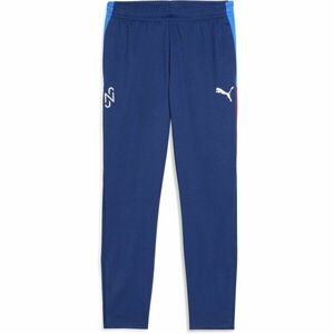 Puma NEYMAR JR PLAYMAKER TRAINING PANT Pantaloni de trening pentru bărbați, albastru, mărime imagine