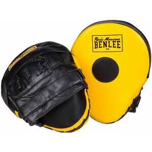 Palmare de box imagine