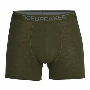 Icebreaker Pantaloni scurți boxeri pentru bărbați Anatomica, verde imagine