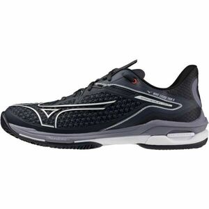 Mizuno WAVE EXCEED TOUR 6 CC Încălțăminte tenis bărbați, negru, mărime 44 imagine