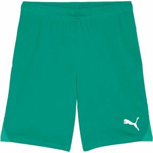 Puma TEAMGOAL SHORTS Șort fotbal bărbați, verde, mărime imagine