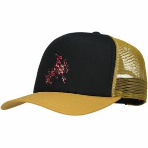 Vans SKATE FLAME TRUCKER Șapcă pentru bărbați, negru, mărime imagine