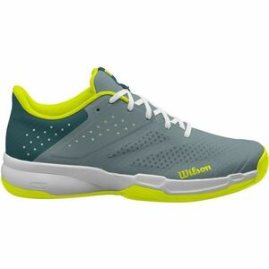 Wilson KAOS STROKE 2.0 Încălțăminte de tenis bărbați, gri, mărime 43 1/3 imagine