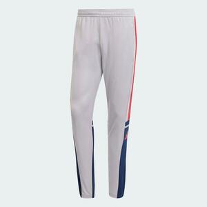 Pantalon de antrenament ADIDAS Squadra 25 pentru adulți, gri/albastru închis imagine