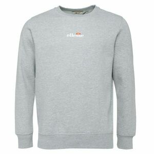 ELLESSE KIAMTO 2 Hanorac de bărbați, gri, mărime imagine