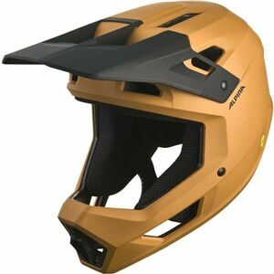 Alpina Sports PIKES MIPS Casca de schi, maro, mărime (52 - 55) imagine