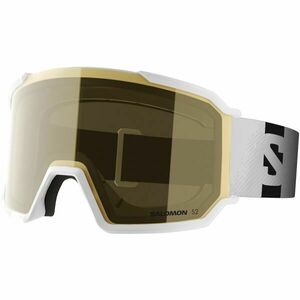 Salomon S/VIEW 3 ACCESS Ochelari de schi unisex, gri, mărime imagine