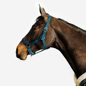 Căpăstru Echitaţie SCHOOLING Albastru-Verzui Ponei/Cai imagine