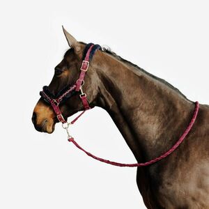 Set căpăstru + lonjă CONFORT echitație Bordo și albastru/Negru Cal/Ponei imagine