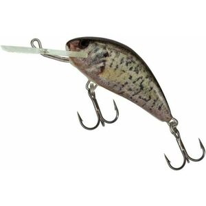 Vobler Salmo Hornet Floating H5F, culoare RCR, 5cm, 7g imagine