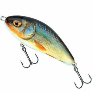 Vobler Salmo Fatso Sinking F10S, culoare RR, 10cm, 52g imagine