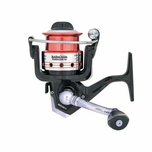 Tambur Mulineta de Rezerva imagine