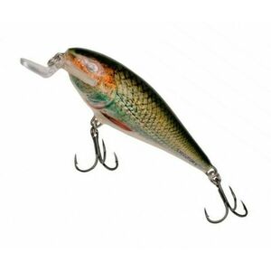Vobler Salmo Executor IEX5SR, culoare GER, 5cm, 5g imagine