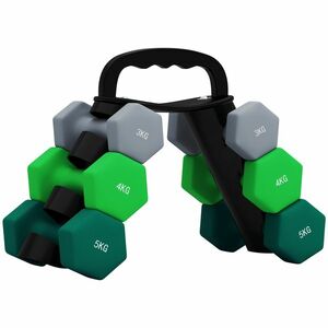 SPORTNOW Set Gantere cu Suport, 3 Perechi de Greutăți de 2 x 3 kg, 2 x 4 kg, 2 x 5 kg, Multicolor | Aosom Romania imagine